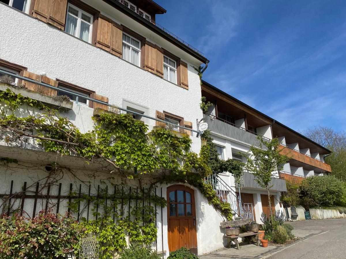 Hotel Landhaus Sternen ジプリンゲン エクステリア 写真